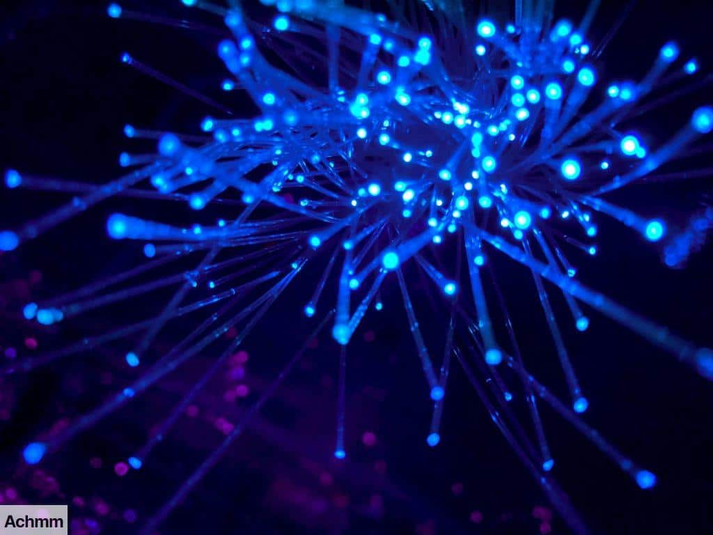 internet avance tecnológico y descubrimiento